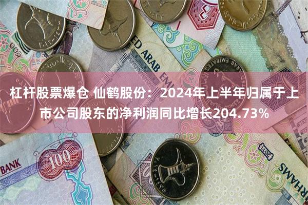 杠杆股票爆仓 仙鹤股份：2024年上半年归属于上市公司股东的净利润同比增长204.73%