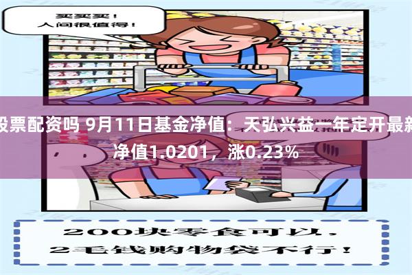 股票配资吗 9月11日基金净值：天弘兴益一年定开最新净值1.0201，涨0.23%