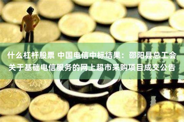 什么杠杆股票 中国电信中标结果：邵阳县总工会关于基础电信服务的网上超市采购项目成交公告