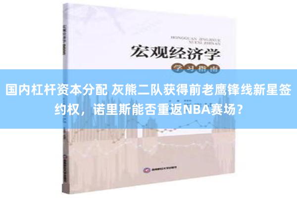 国内杠杆资本分配 灰熊二队获得前老鹰锋线新星签约权，诺里斯能否重返NBA赛场？