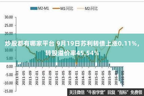 炒股都有哪家平台 9月19日苏利转债上涨0.11%，转股溢价率45.54%