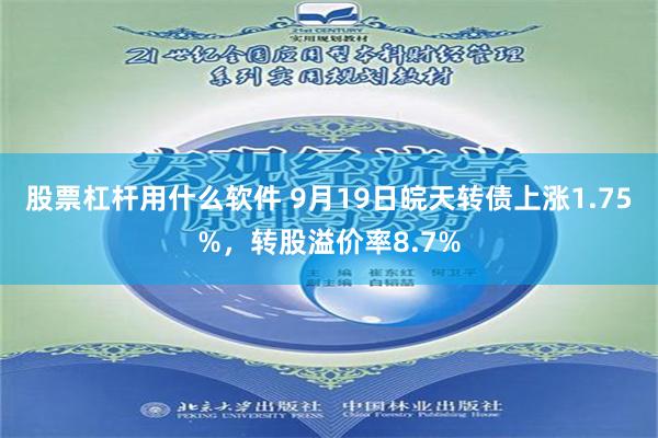 股票杠杆用什么软件 9月19日皖天转债上涨1.75%，转股溢价率8.7%