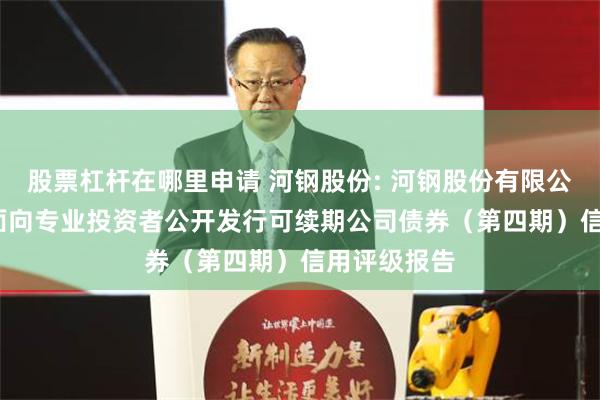 股票杠杆在哪里申请 河钢股份: 河钢股份有限公司2024年面向专业投资者公开发行可续期公司债券（第四期）信用评级报告