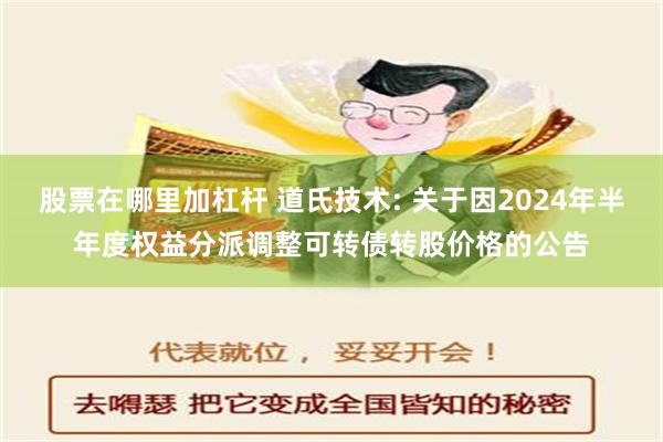 股票在哪里加杠杆 道氏技术: 关于因2024年半年度权益分派调整可转债转股价格的公告