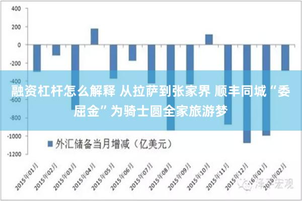 融资杠杆怎么解释 从拉萨到张家界 顺丰同城“委屈金”为骑士圆全家旅游梦