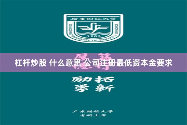 杠杆炒股 什么意思 公司注册最低资本金要求