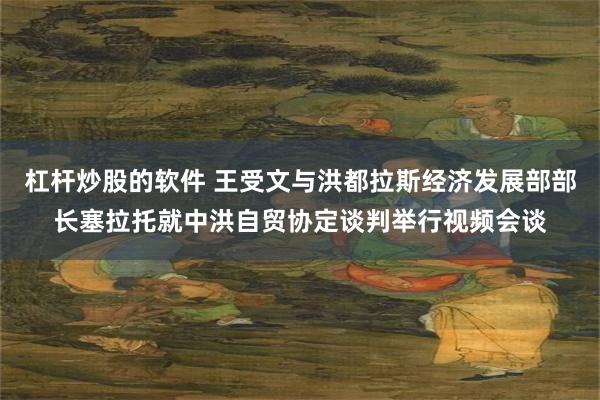 杠杆炒股的软件 王受文与洪都拉斯经济发展部部长塞拉托就中洪自贸协定谈判举行视频会谈