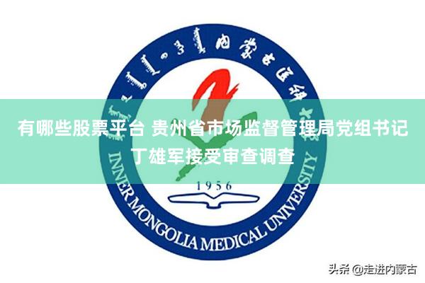 有哪些股票平台 贵州省市场监督管理局党组书记丁雄军接受审查调查