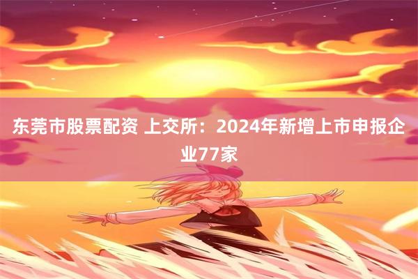 东莞市股票配资 上交所：2024年新增上市申报企业77家