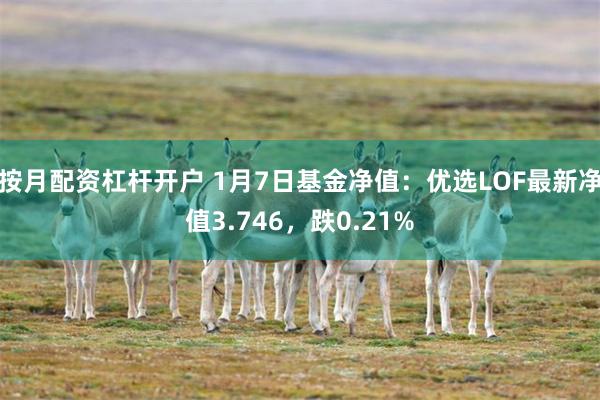 按月配资杠杆开户 1月7日基金净值：优选LOF最新净值3.746，跌0.21%