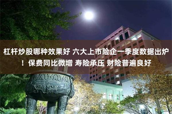 杠杆炒股哪种效果好 六大上市险企一季度数据出炉！保费同比微增 寿险承压 财险普遍良好