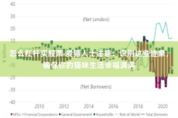 怎么杠杆买股票 爱猫人士注意：识别这些迹象，确保你的猫咪生活幸福满满